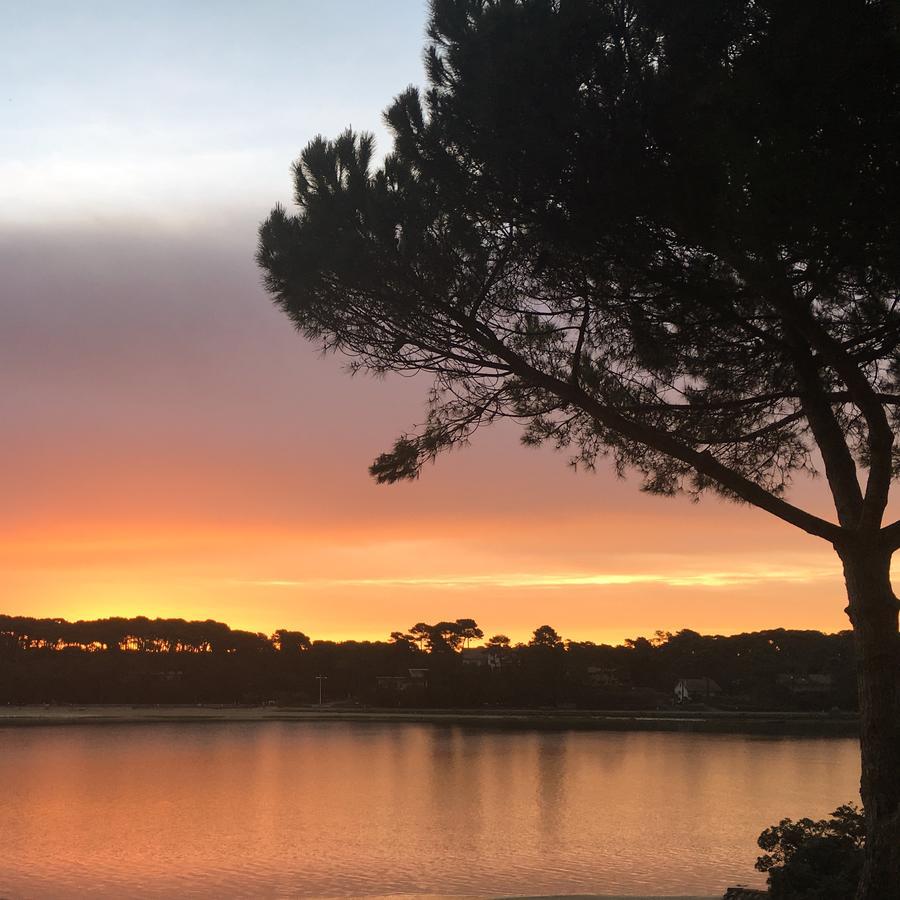 Hotel Les Hortensias Du Lac Soorts-Hossegor Buitenkant foto